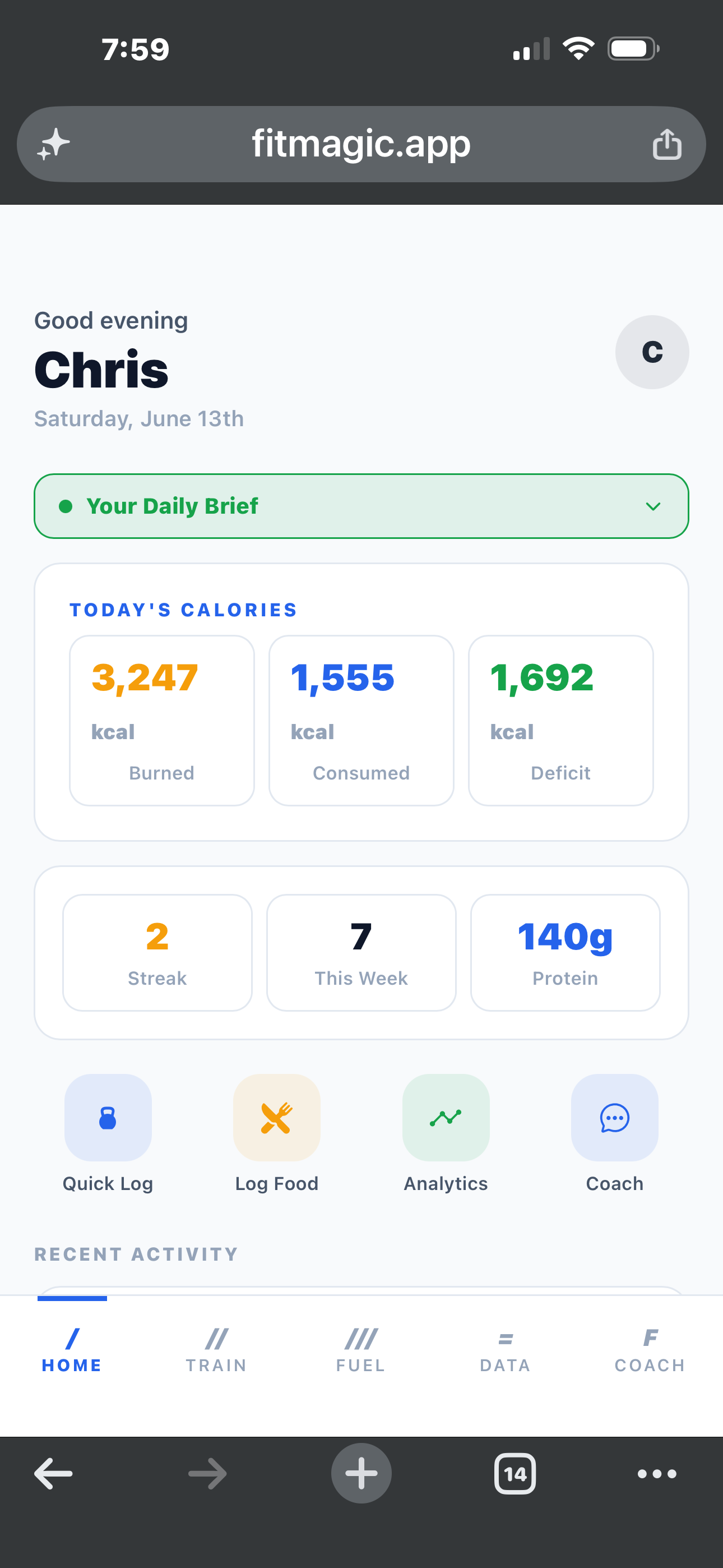 FitMagic home dashboard in the Arctic Ice theme